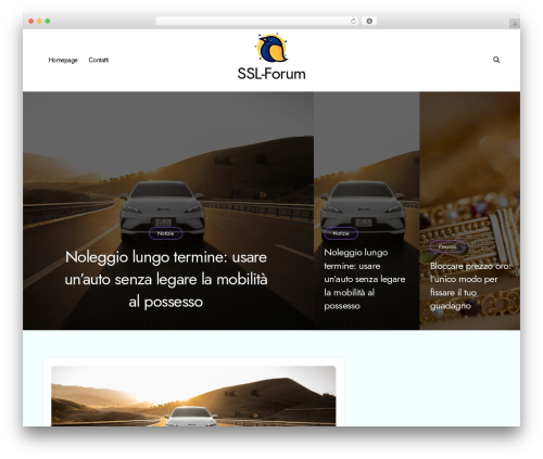 BlogData WordPress theme - ssl-forum.com