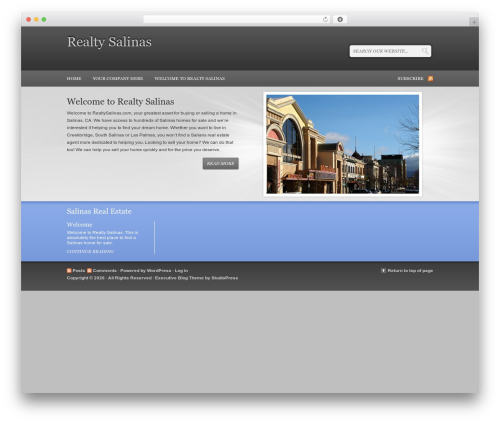 Executive WordPress website theme - realtysalinas.com