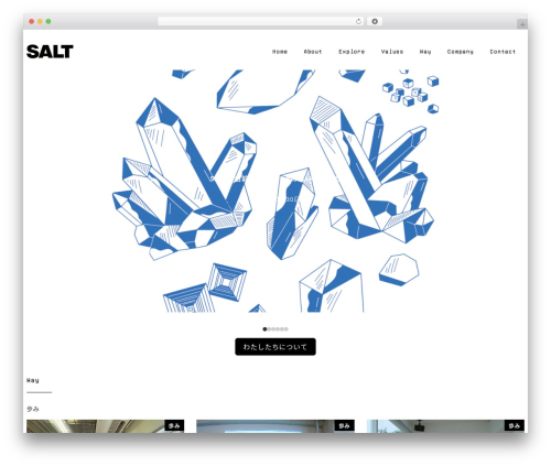 Snow Monkey Forms (snow-monkey-forms) free WordPress plugin - salt.camp Snow Monkey Forms (snow-monkey-forms) free WordPress plugin - salt.camp