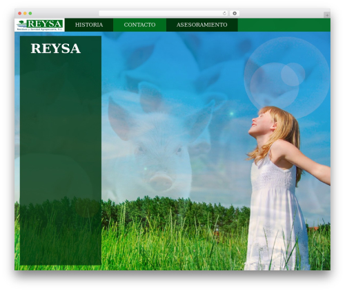 Axis WordPress website theme - reysa.es
