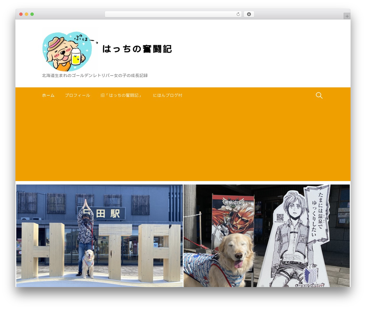 First theme WordPress - hatch-diary.com