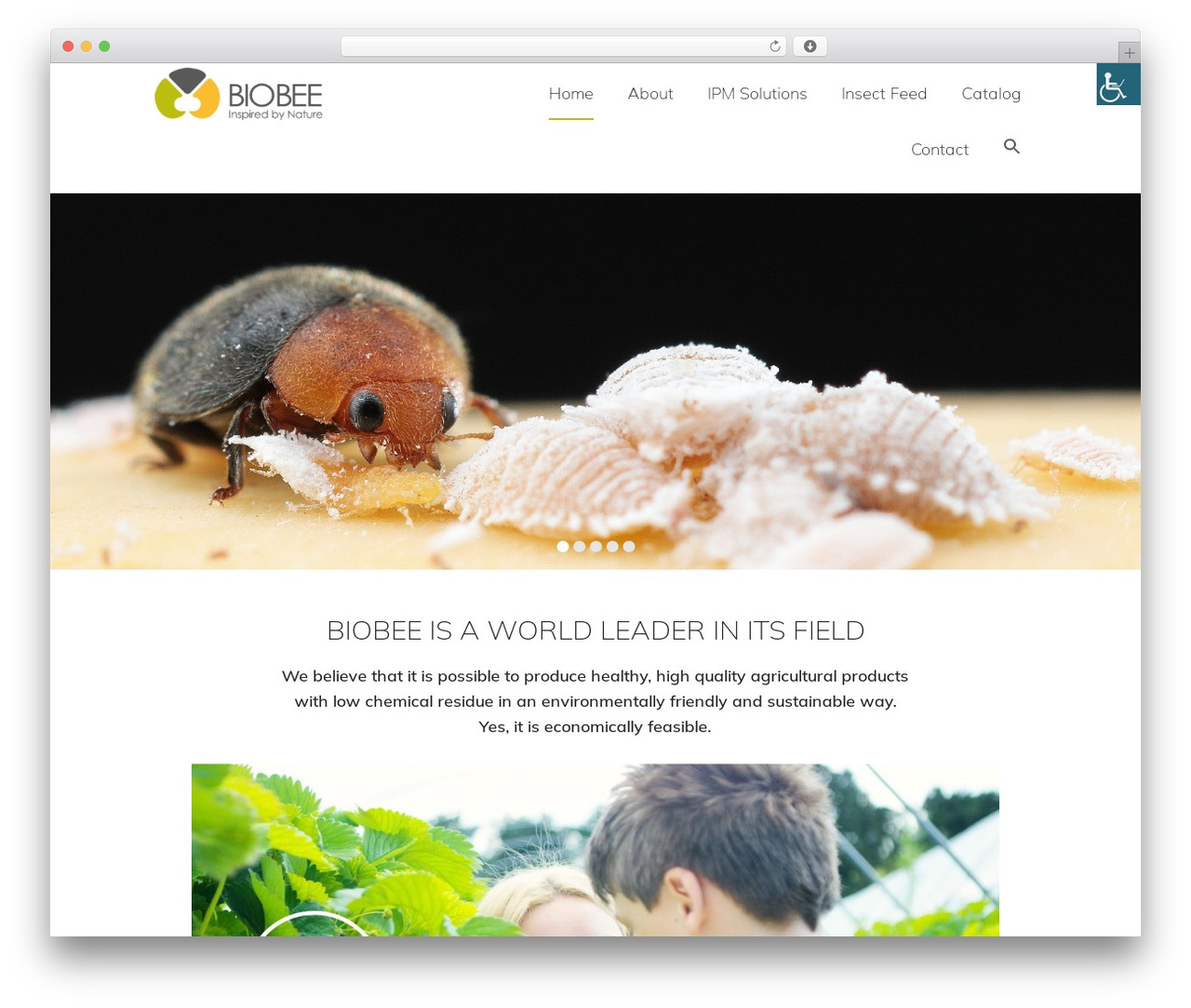 Genesis theme WordPress - biobee-canada.com Genesis theme WordPress - biobee-canada.com