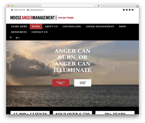Bne flyout WordPress plugin - angerman.online
