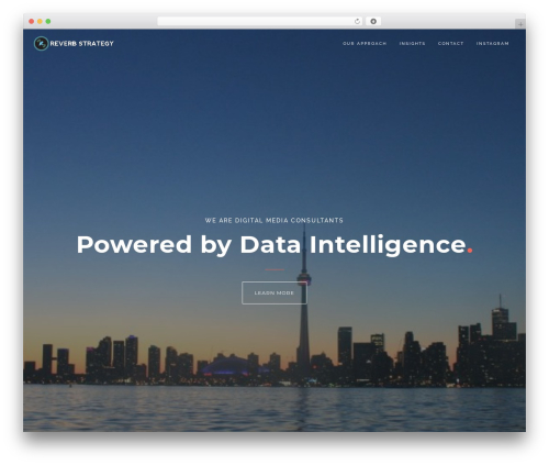WordPress theme Comet WP - reverbstrategy.com