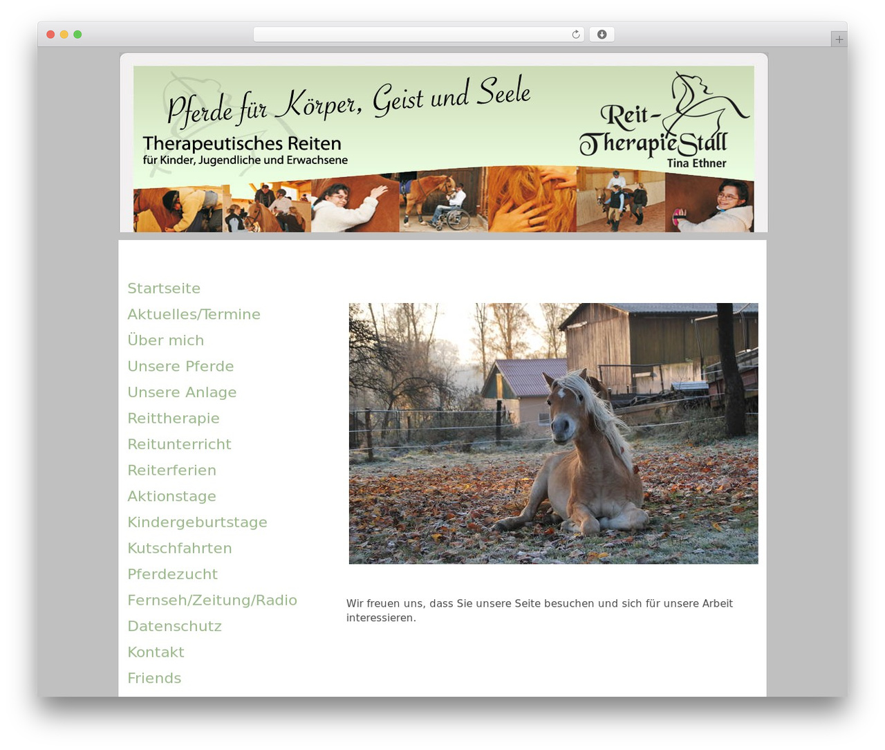WordPress theme Bee - reittherapiestall.de WordPress theme Bee - reittherapiestall.de