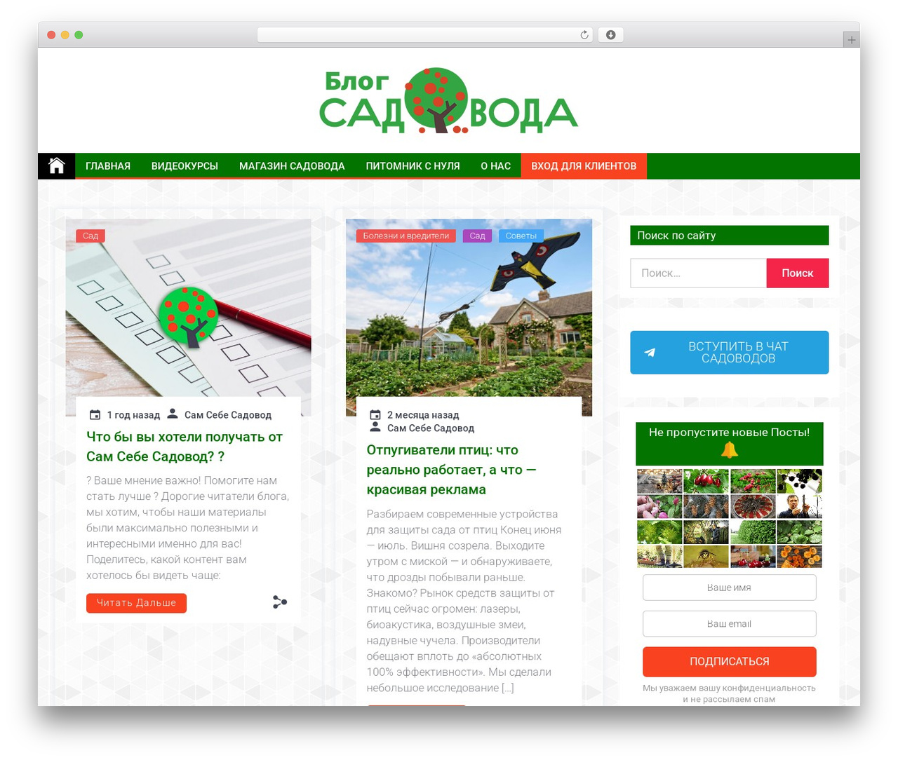 WordPress theme Telegram - blogsadovoda.ru