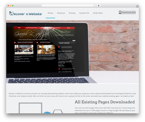 Appdev WordPress ecommerce theme - recoverawebsite.com
