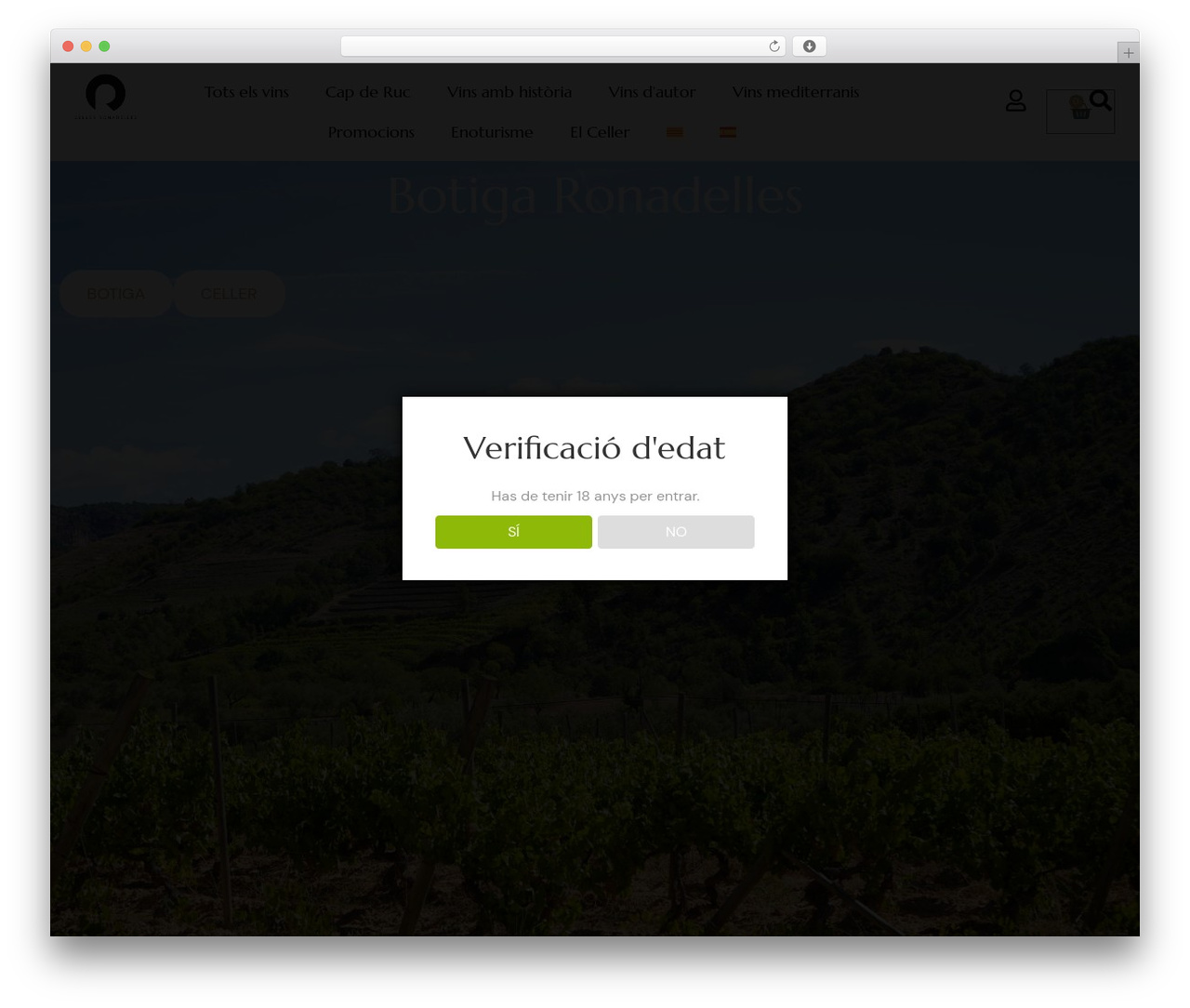 Hello Elementor theme WordPress - capderuc.com