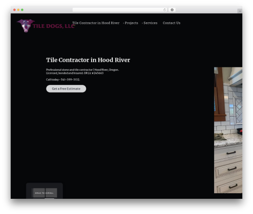 Theme WordPress Thecs - tiledogs.com