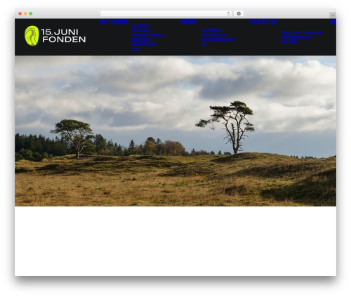 Uncode privacy WordPress plugin - 15junifonden.dk
