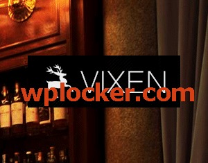Vixen WordPress theme design by MBMedia
