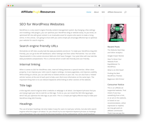WordPress theme Divi - affiliateprofitresources.com