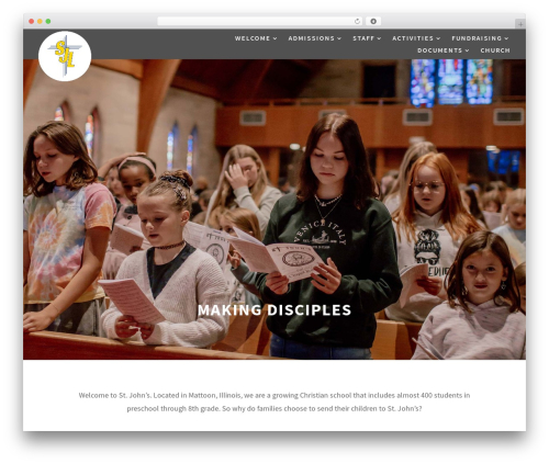 WordPress theme Divi - stjls-mattoon.com