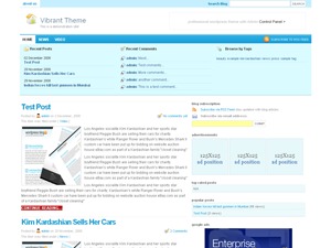 amazing WordPress page theme by themechilly.com