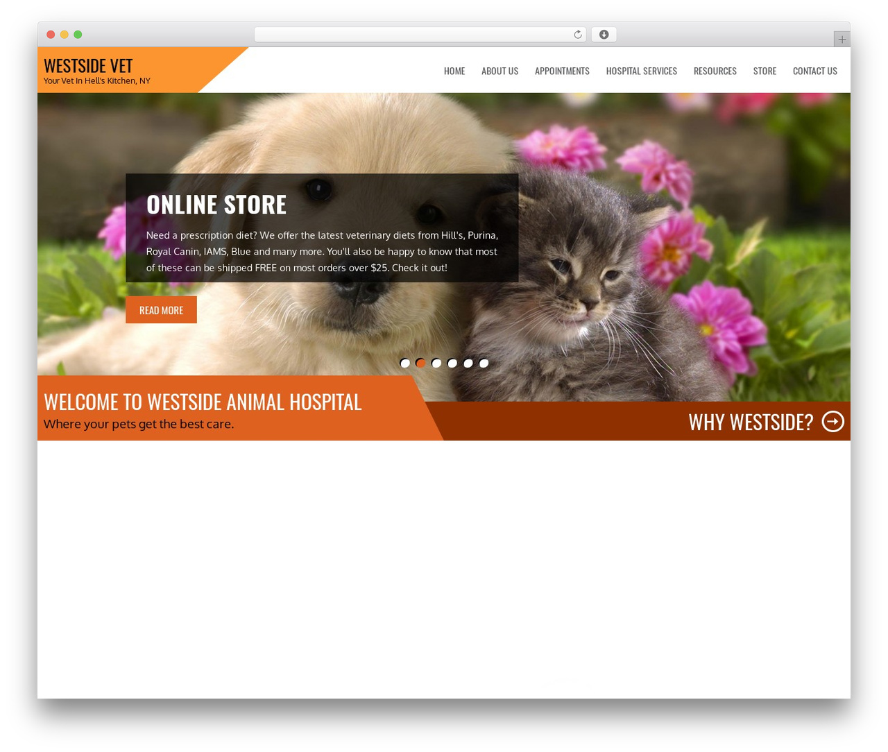 Animals Pro theme WordPress - westsideanimalnyc.com Animals Pro theme WordPress - westsideanimalnyc.com