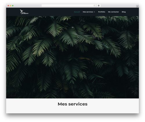Next image effect pro WordPress plugin - www.tatianaschrepff.fr