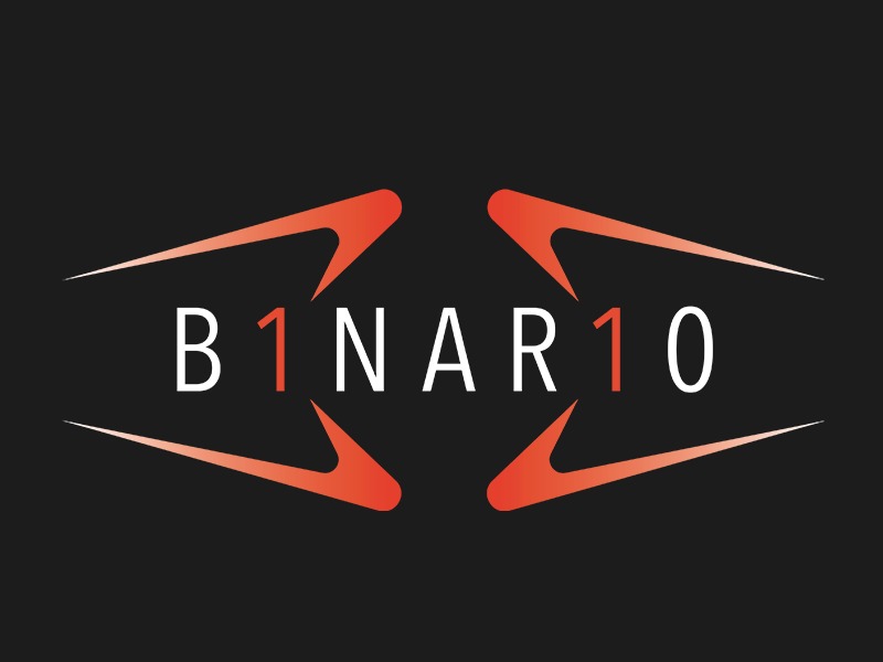 Binario WordPress theme