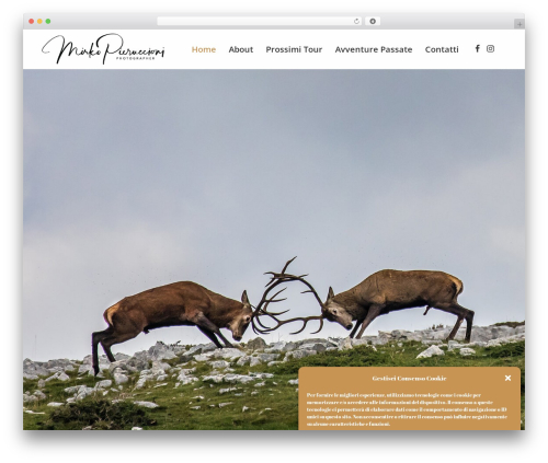 Lightbox – EverlightBox Gallery (everlightbox) free WordPress plugin - pieruccioniphoto.com Lightbox – EverlightBox Gallery (everlightbox) free WordPress plugin - pieruccioniphoto.com