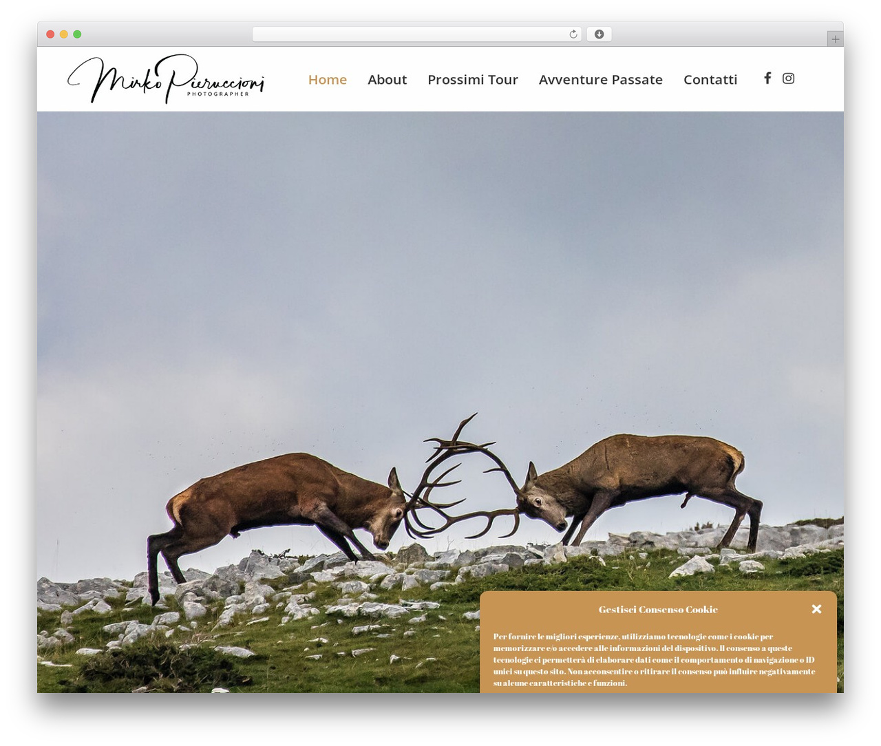 Bridge WordPress theme - pieruccioniphoto.com