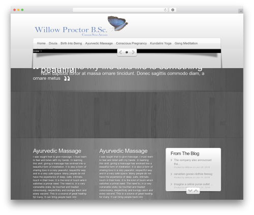 DeepFocus WordPress website theme - willowproctor.com