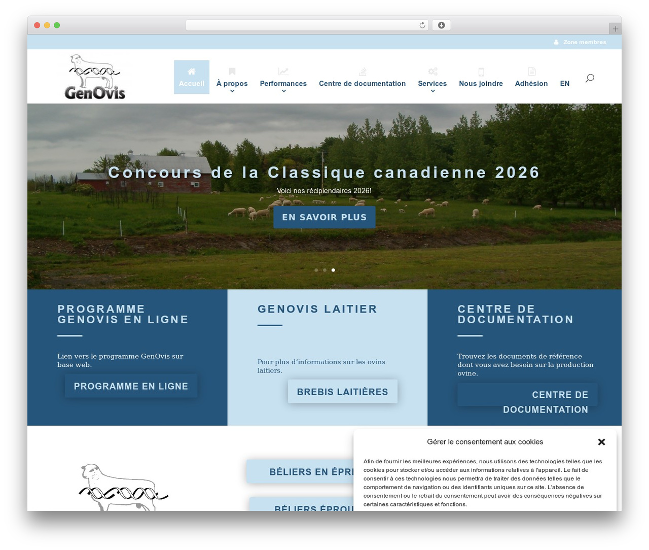 Divi WordPress theme - genovis.ca