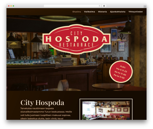 Divi WordPress theme - cityhospoda.fi