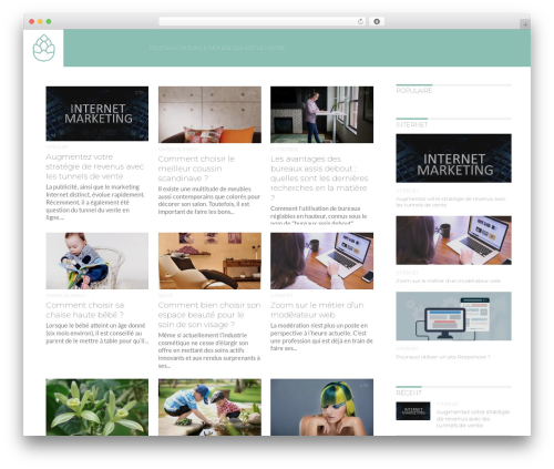 Flex Mag WordPress blog theme - toutsavoirsur.fr