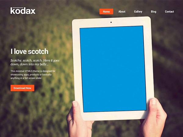 Kodax Child Theme WordPress theme design by Theme Canon