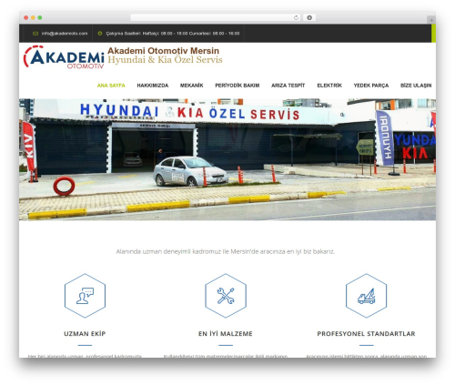 Nutrigen WordPress theme - akademioto.com Nutrigen WordPress theme - akademioto.com