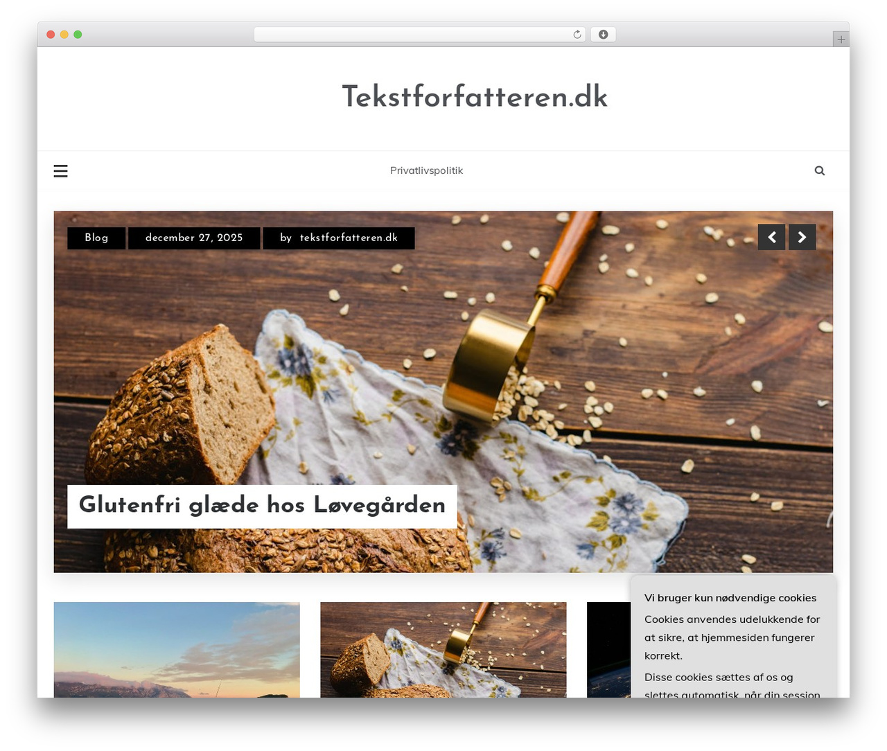 Parewa WordPress theme - tekstforfatteren.dk