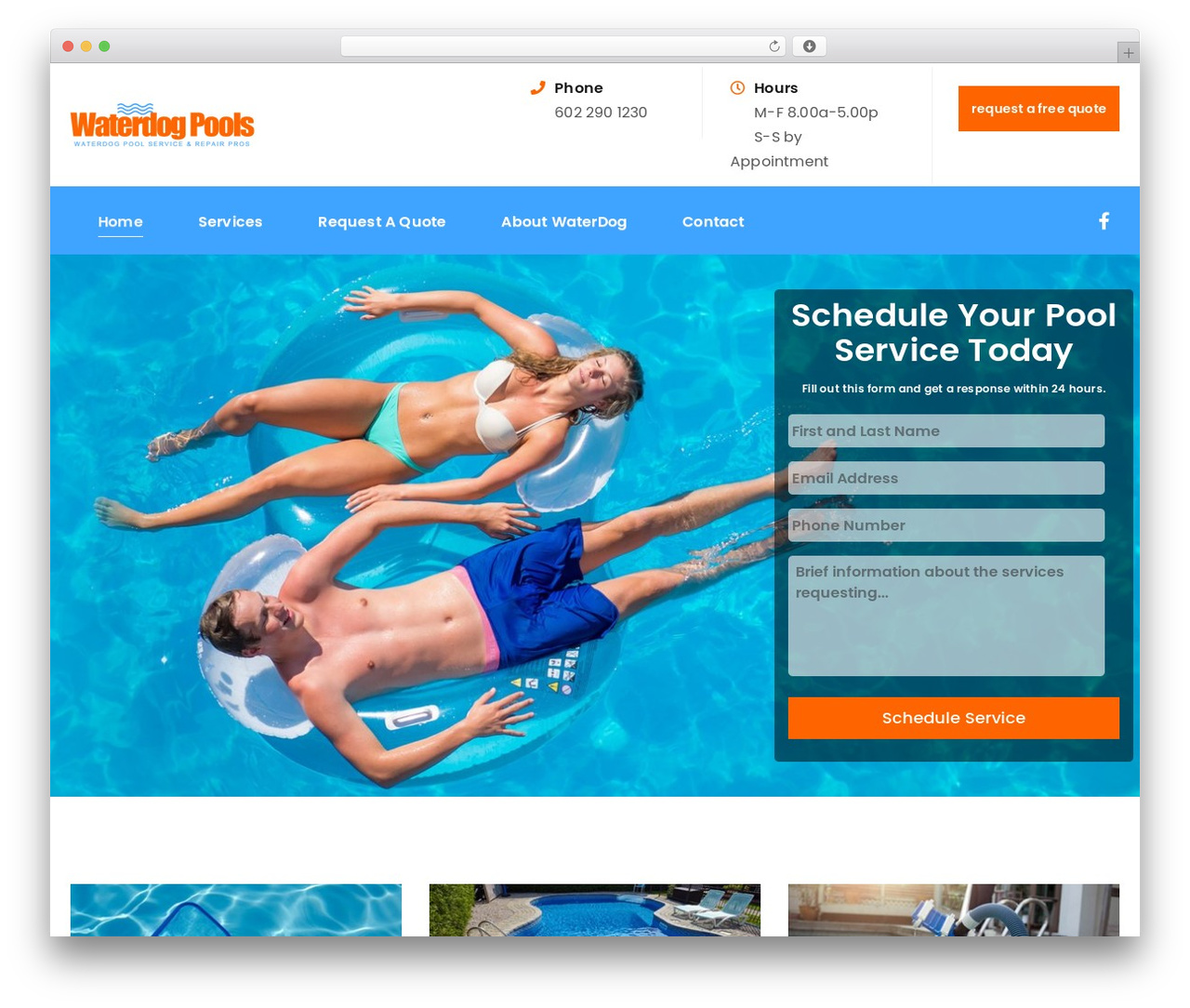 Planter Theme theme WordPress - waterdogpoolservice.com Planter Theme theme WordPress - waterdogpoolservice.com
