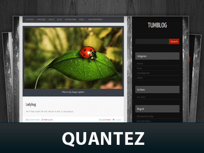 Quantez top WordPress theme by Jinsona