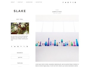 slake theme WordPress by Marvel_Theme