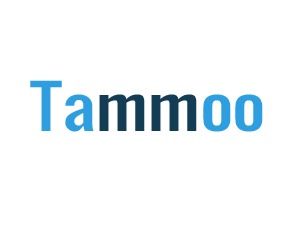 Tammoo top WordPress theme by 7Theme.net