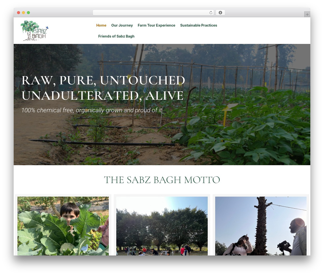 Theme WordPress Bfres - thesabzbagh.com Theme WordPress Bfres - thesabzbagh.com