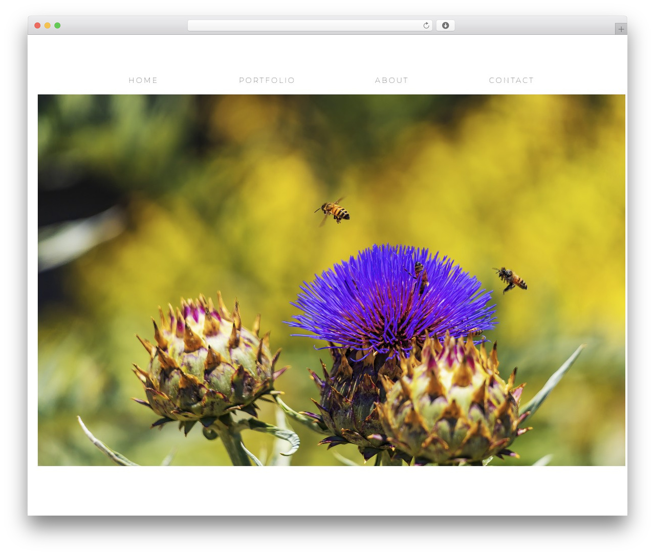 Theme WordPress Flatbase - joycesanders.com