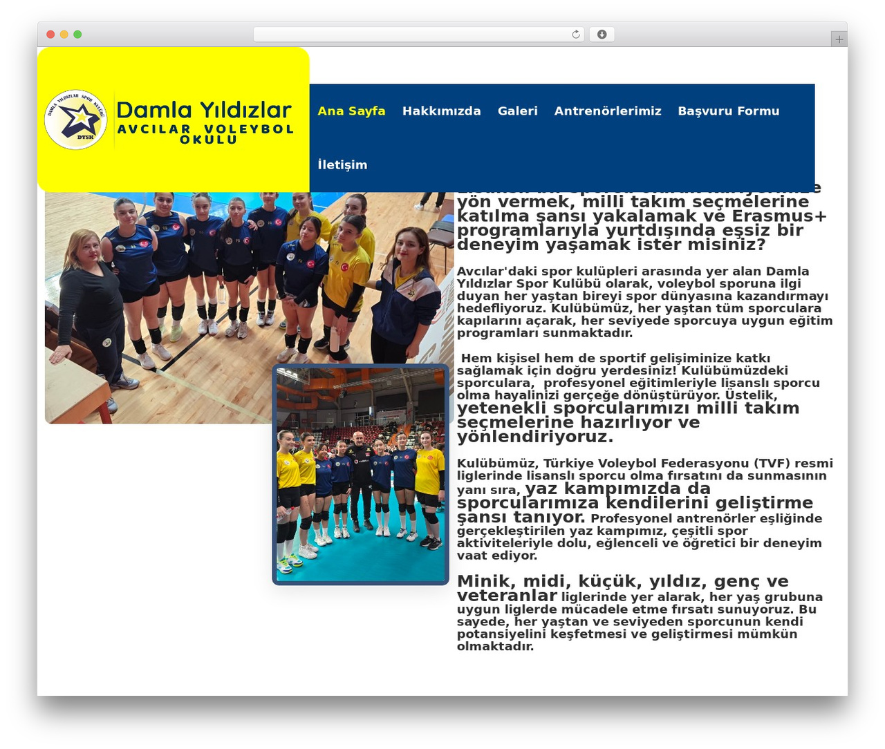 Theme WordPress Amiso - damlayildizlarsporkulubu.com