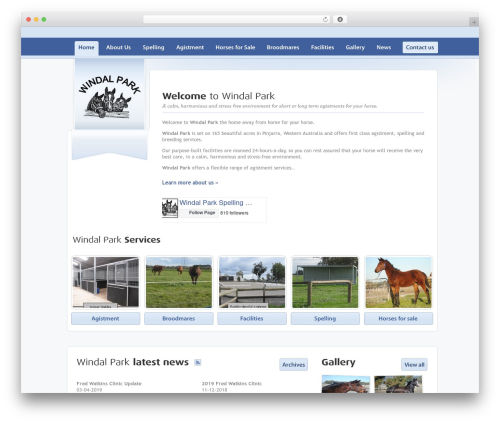 Theme WordPress WP Framework - windalpark.com.au