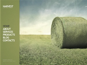 theme18324 WordPress theme by Template_Help.com
