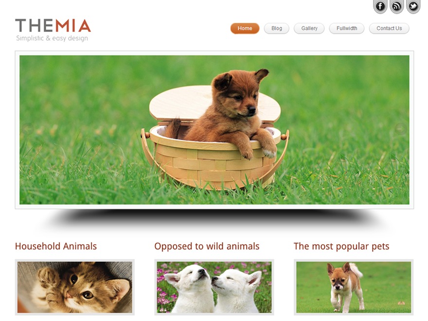 Themia Pro Responsive Theme WordPress theme image Themia Pro Responsive Theme WordPress theme image