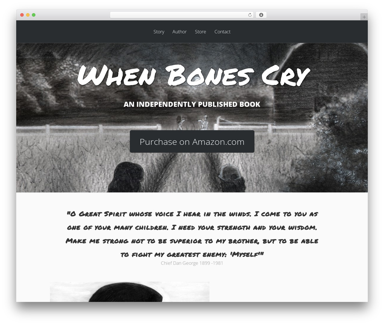 Vertex theme WordPress - whenbonescry.com
