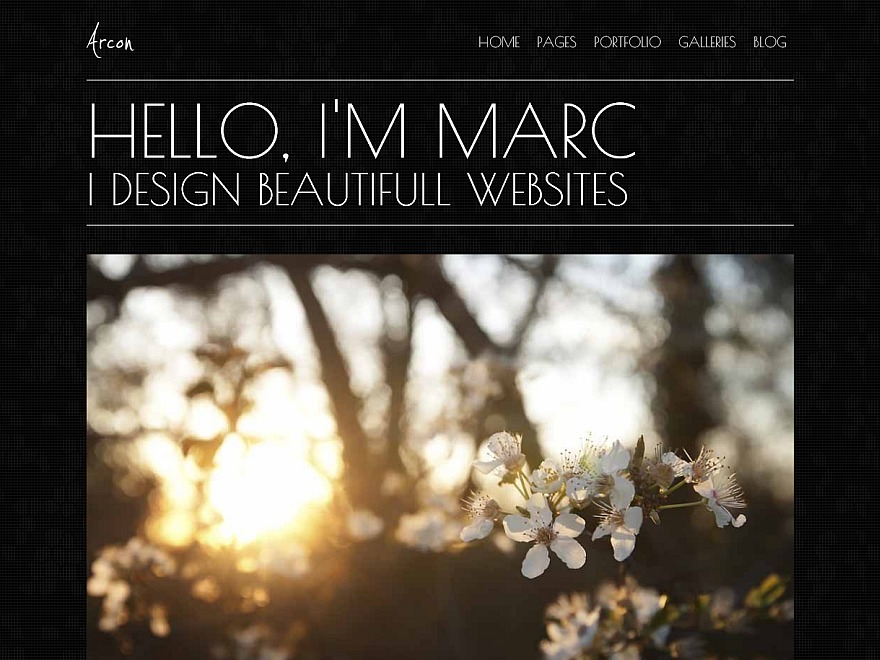 WordPress theme Arcon by 7Theme.net