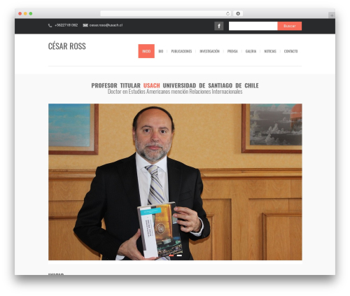 WordPress theme Avrora - cesarross.cl
