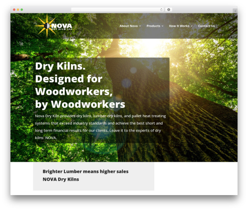 WordPress theme Divi - novadrykiln.com