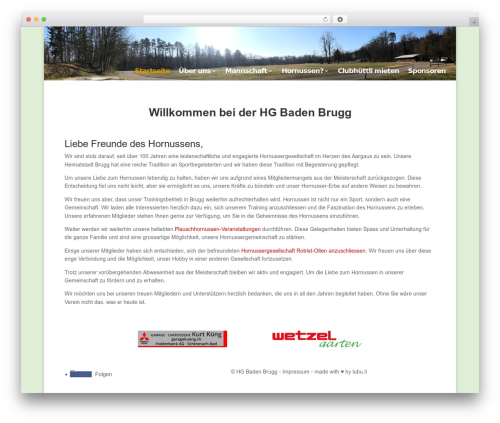 Divi desktop menu customizer WordPress plugin - hg-badenbrugg.ch