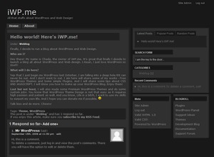 WordPress theme Maze WordPress theme Maze