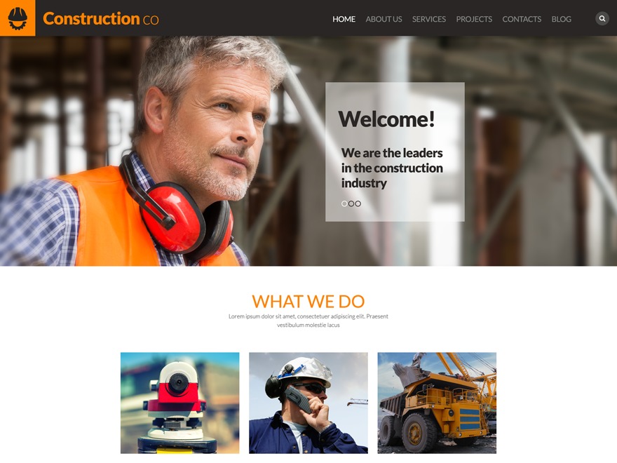 WordPress theme theme52266 WordPress theme theme52266