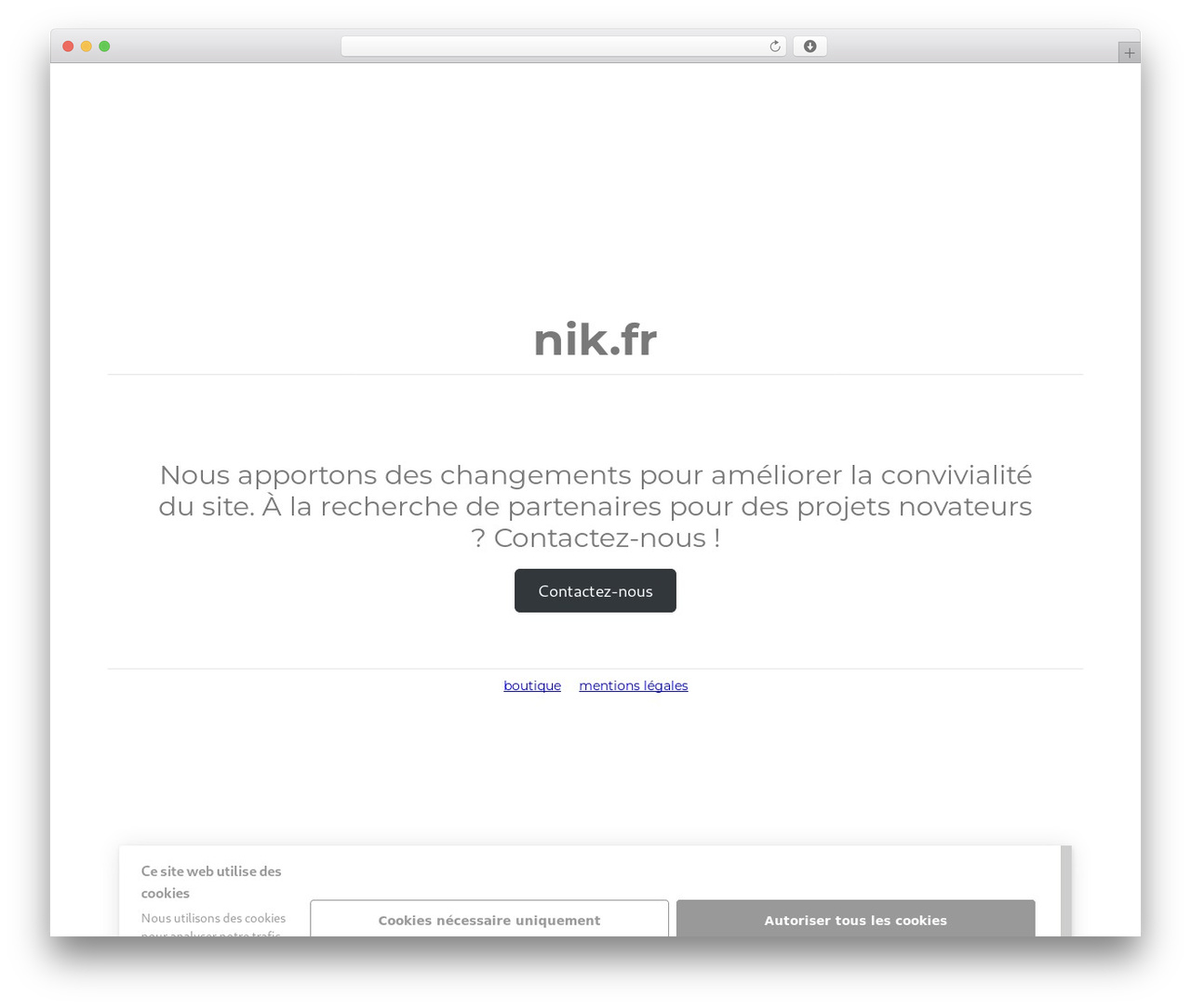 WordPress theme Twenty Twenty-Two - nik.fr