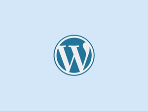 WP Base theme WordPress