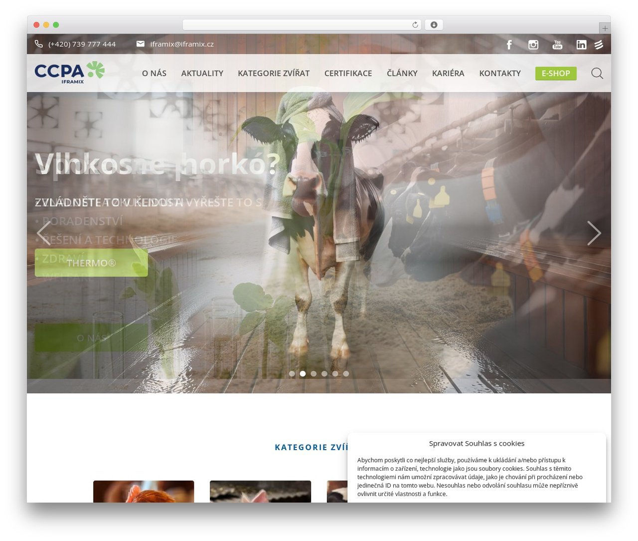 WP theme Iframix - iframix.cz WP theme Iframix - iframix.cz